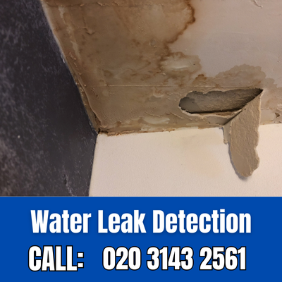 Expert Water Leak Detection Services in Broad Green | Broad Green Leak Detection
